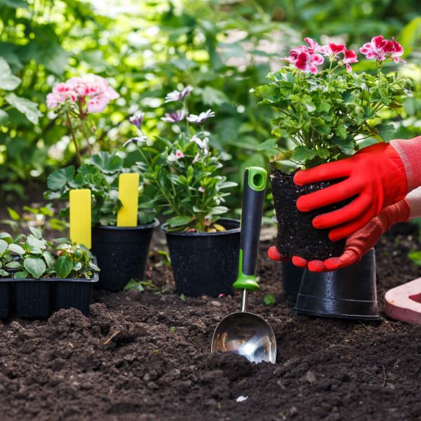 Home page How JP landscape group works _6_11zon